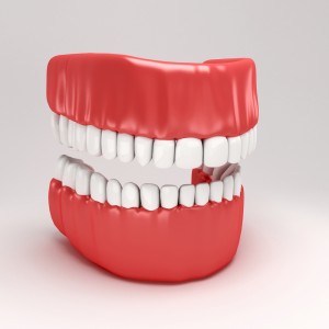 model of perfect teeth